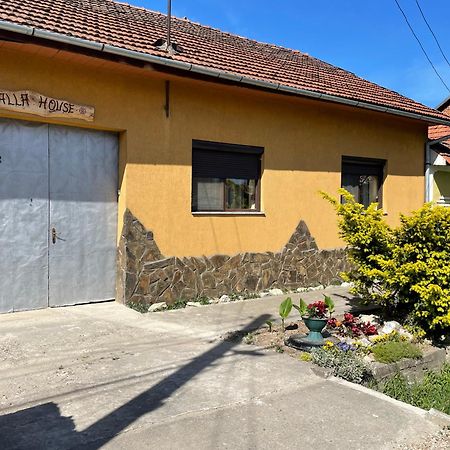 Bed and Breakfast Balla House Tărcaia Exteriér fotografie