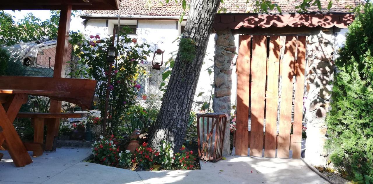 Bed and Breakfast Balla House Tărcaia Exteriér fotografie