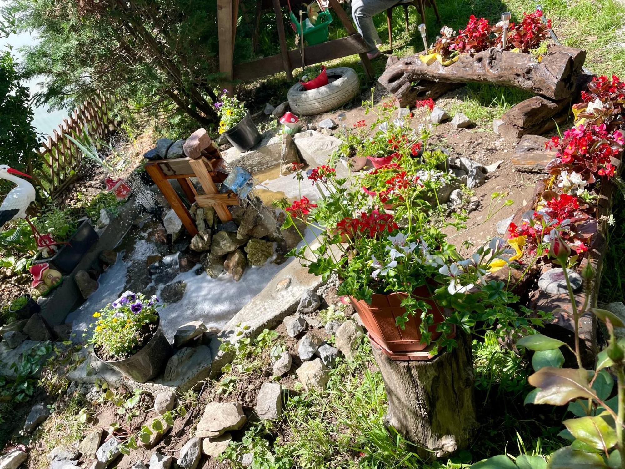 Bed and Breakfast Balla House Tărcaia Exteriér fotografie