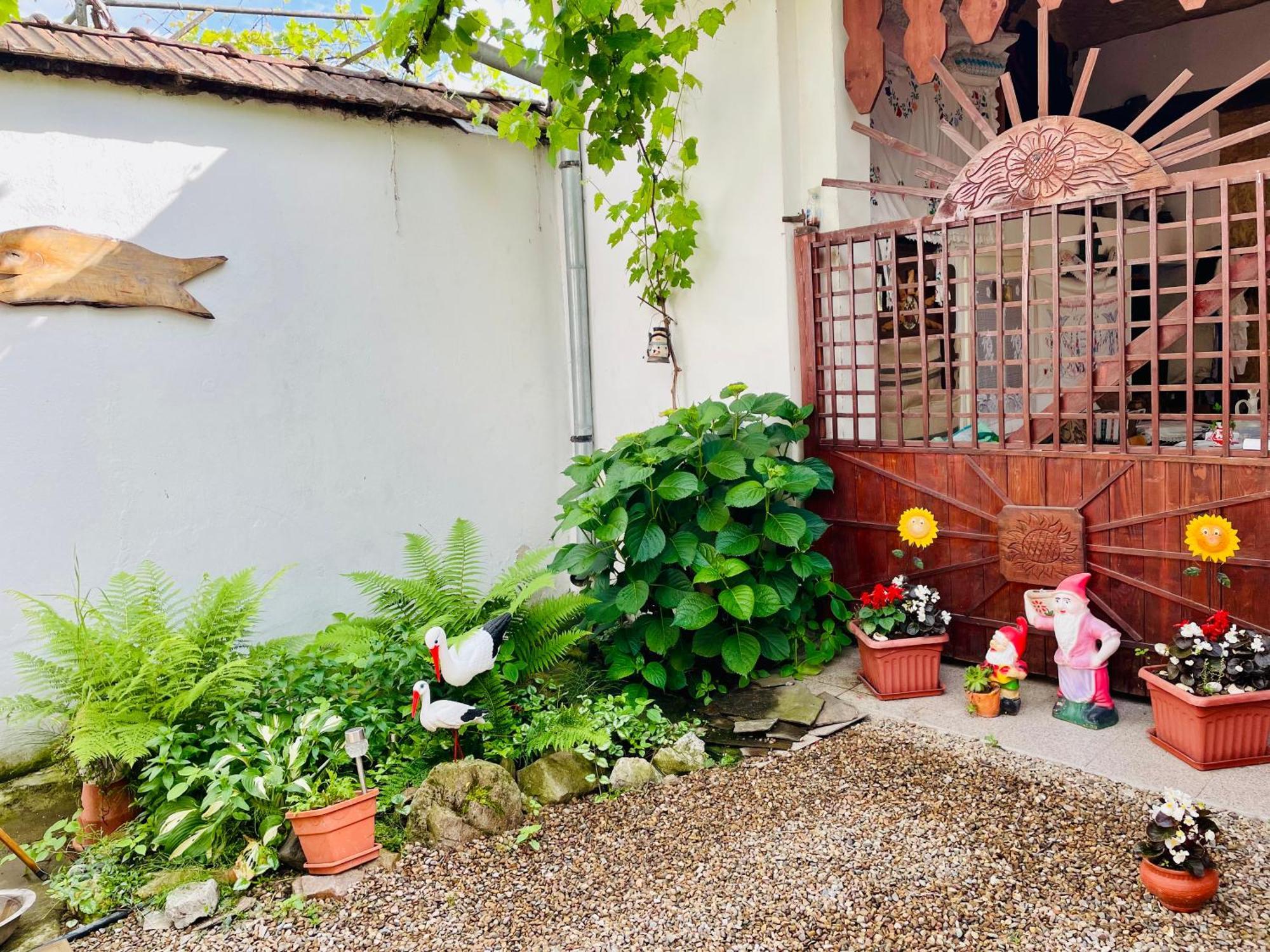 Bed and Breakfast Balla House Tărcaia Exteriér fotografie